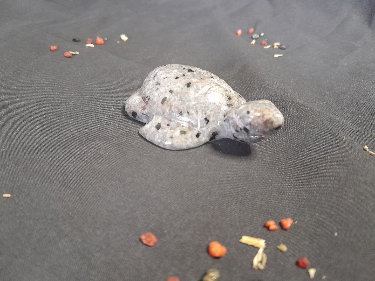 Yooperlite Turtle