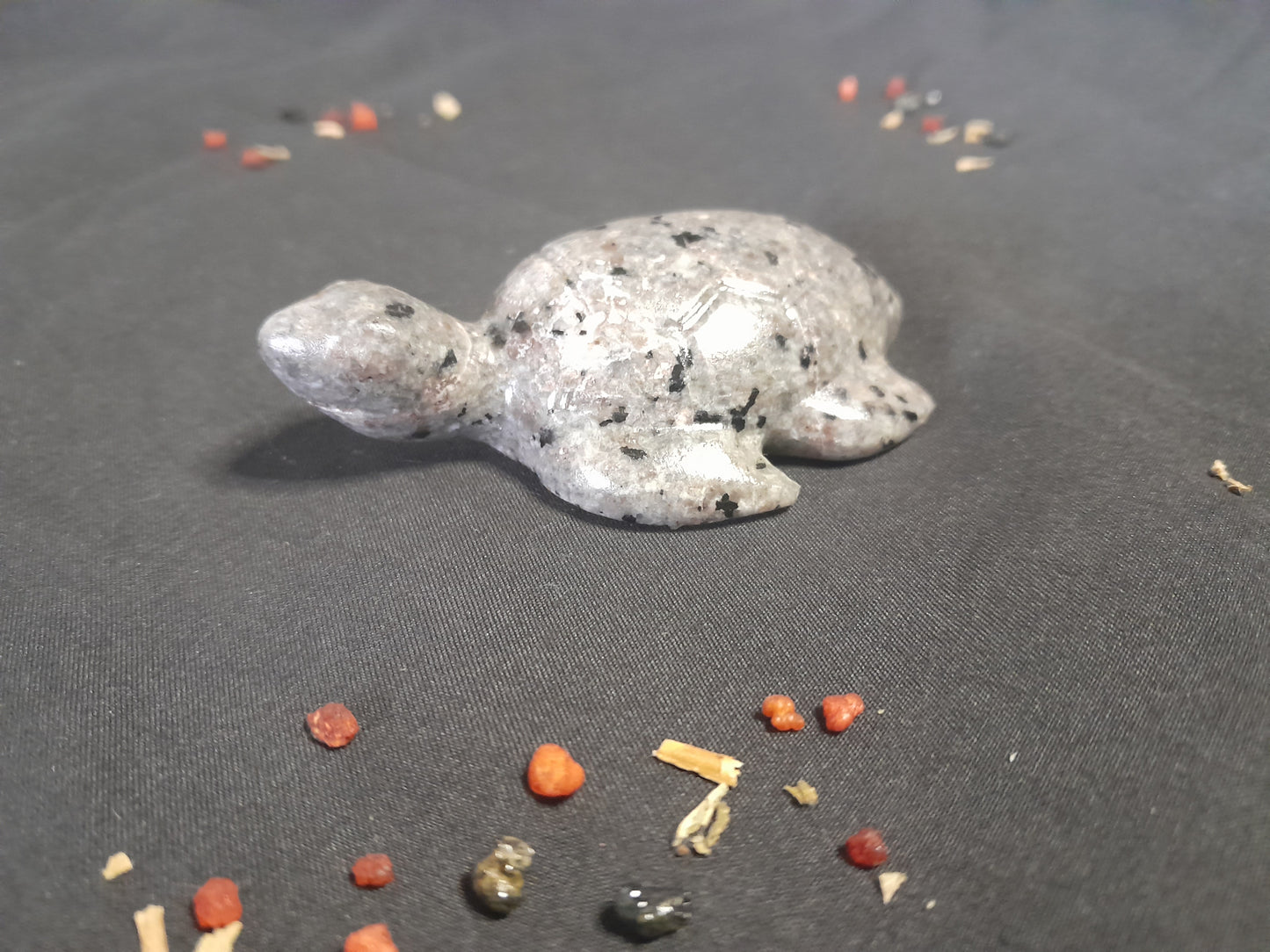 Yooperlite Turtle