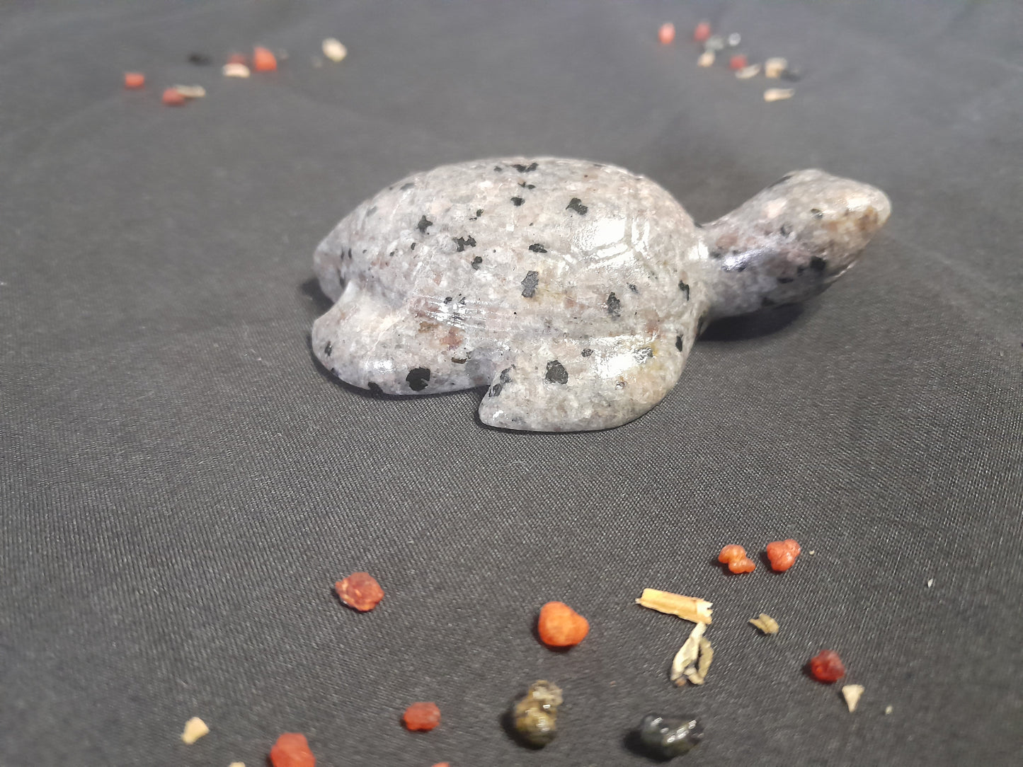 Yooperlite Turtle