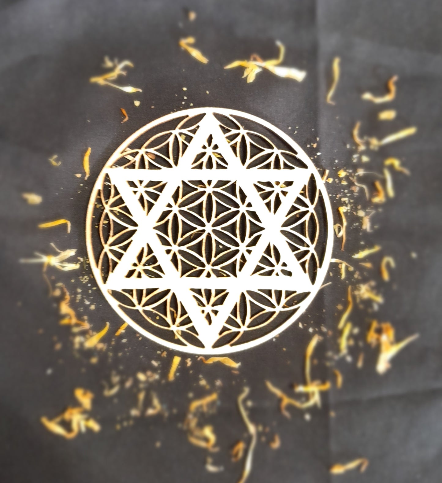 Coaster - Flower of life/Six pointed star